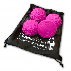 Flexiness ToyPawStackers